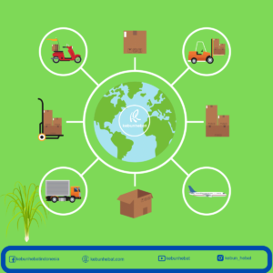 How does traditional essential oils supply chain work